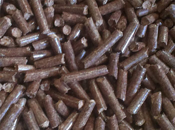 生物質(zhì)能源